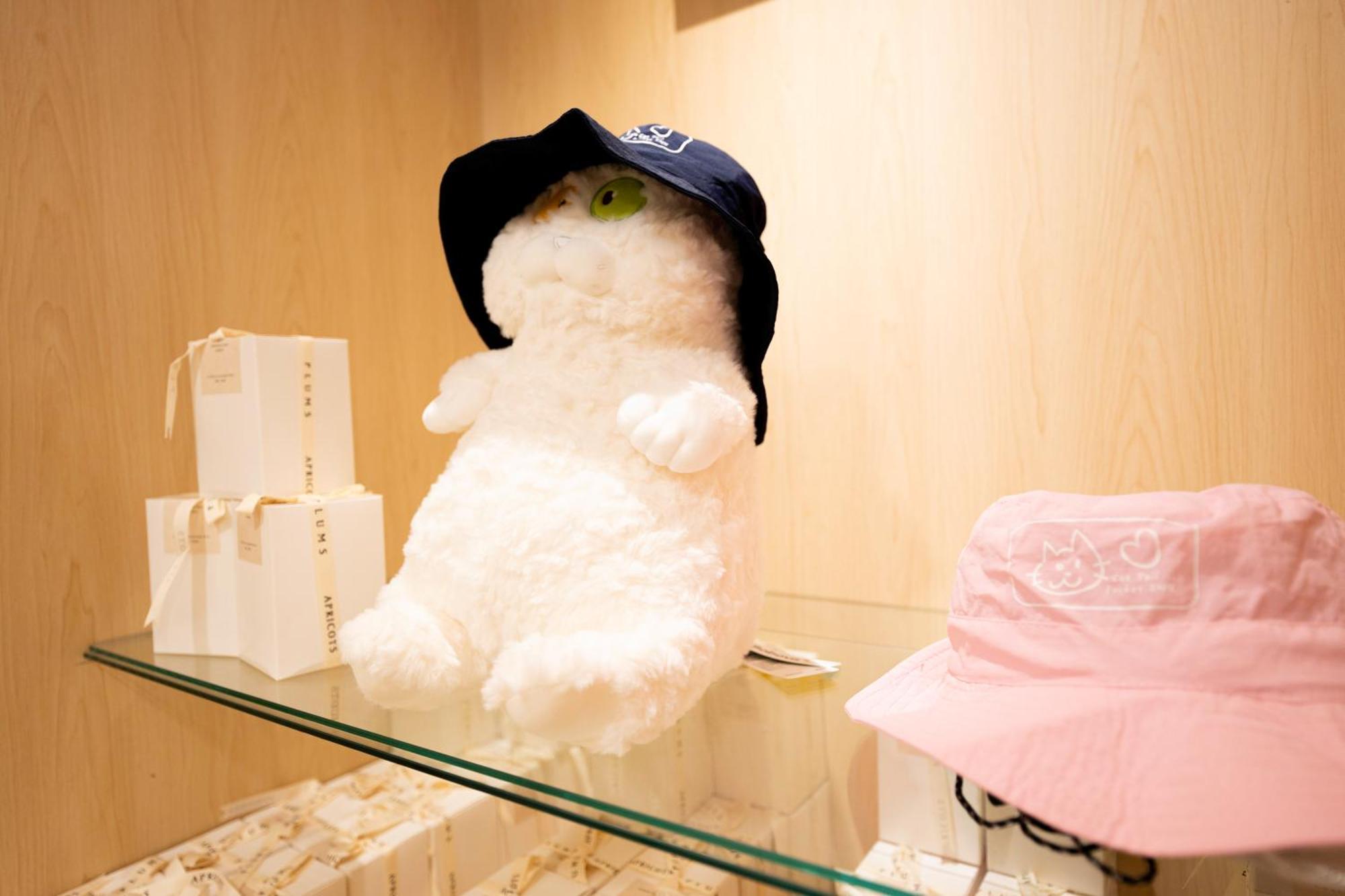 Inn Cat Tail Pocket Ximen Taipei